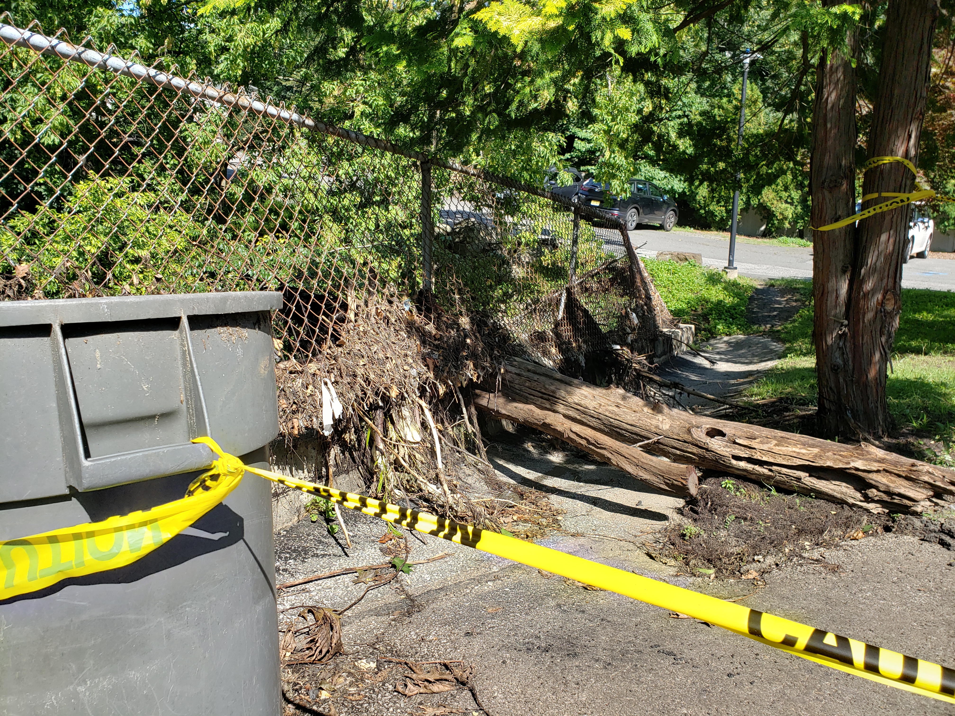 Tree crashes through fencing